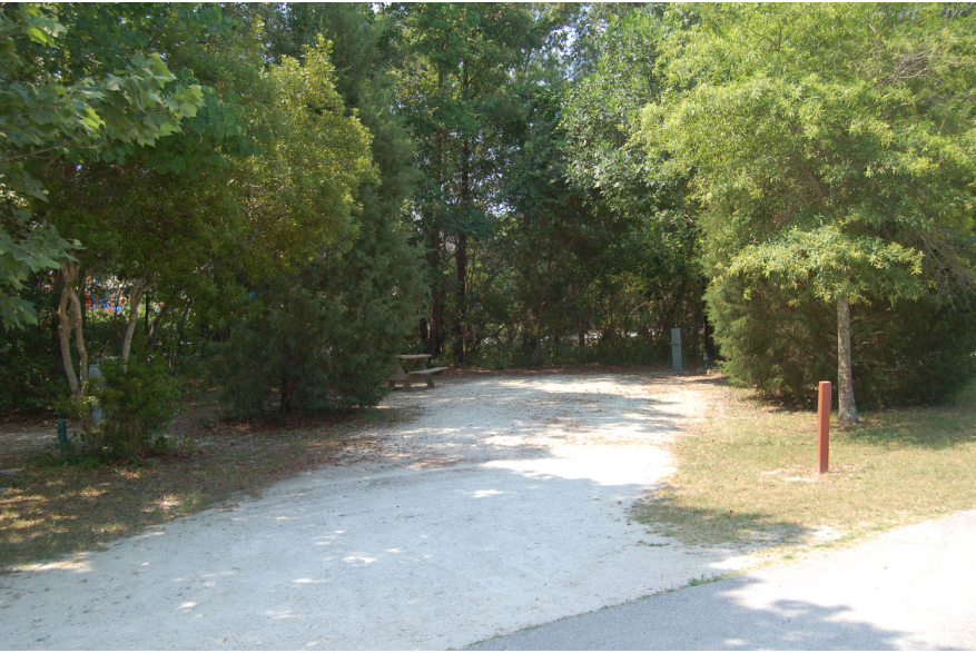 Site #80