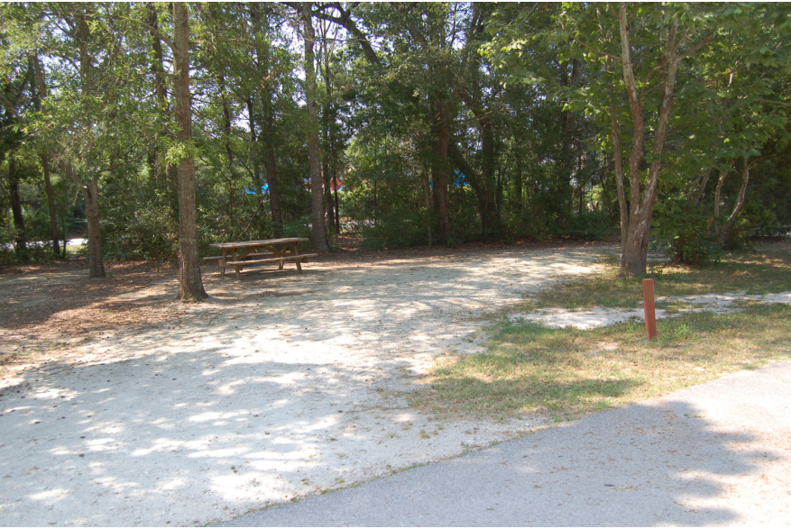 Site #81