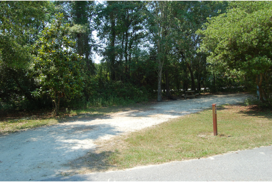Site #83