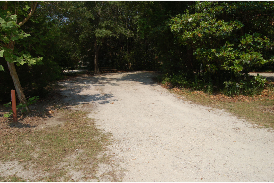 Site #84