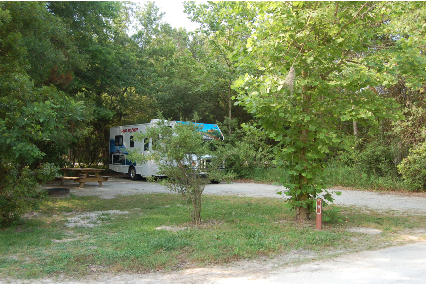Site #8