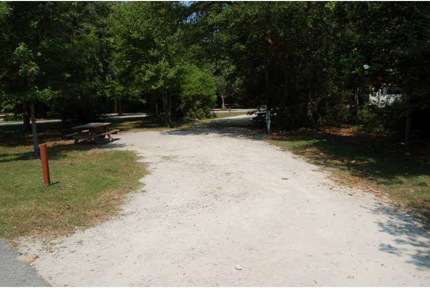Site #91