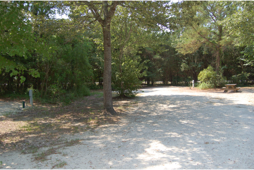 Site #93