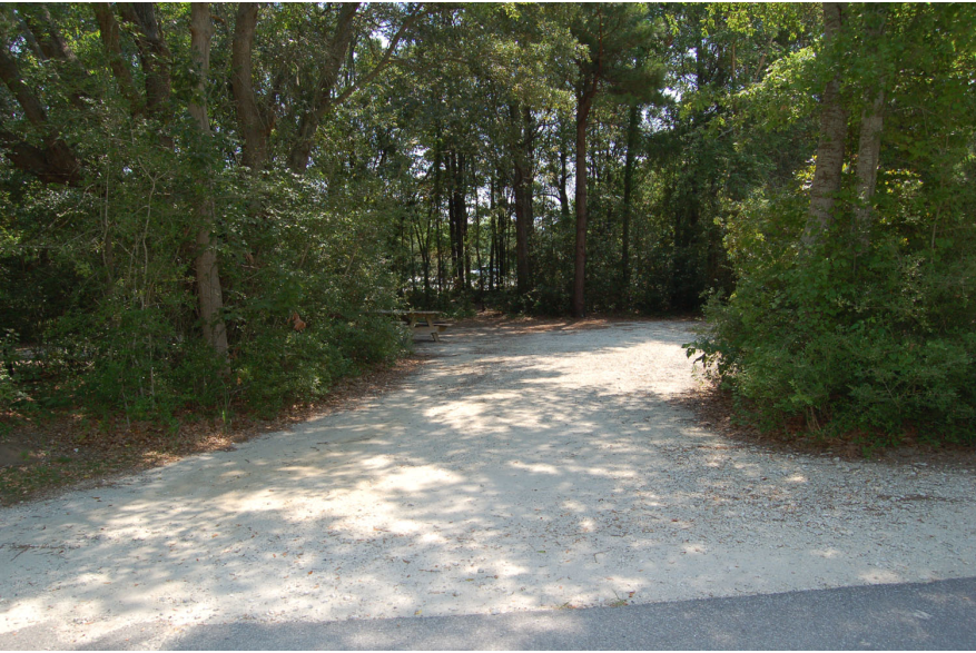 Site #98