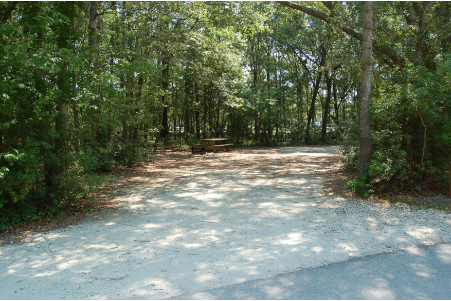 Site #99