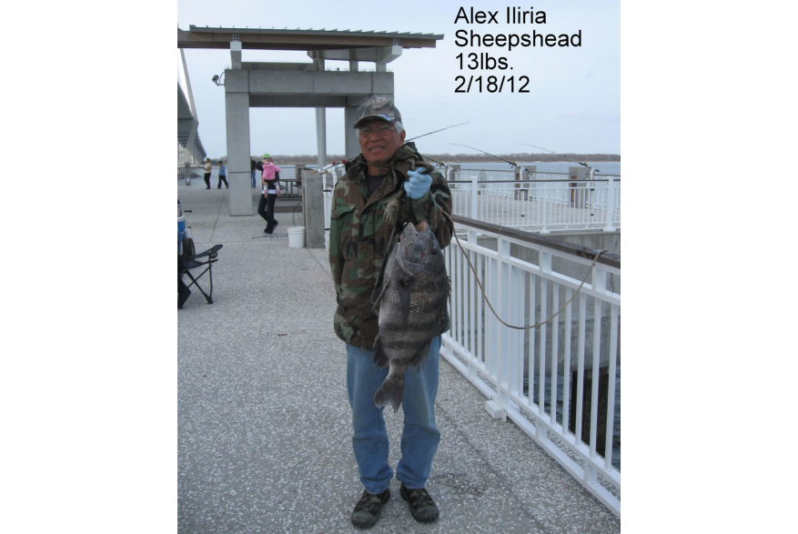 Record Sheepshead!