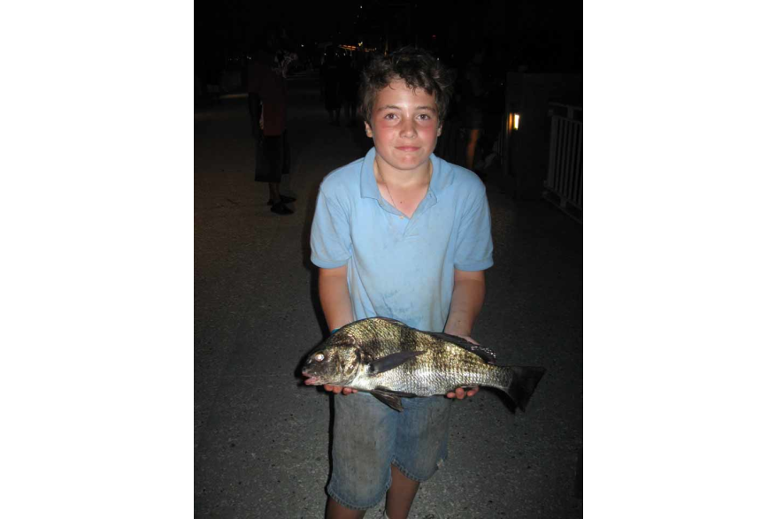 Black Drum