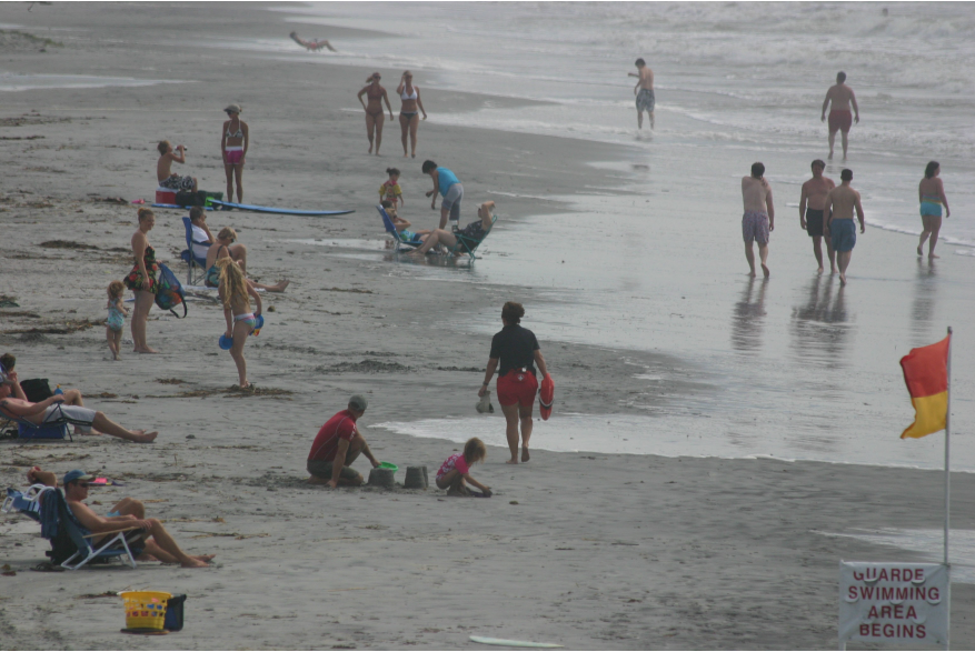 A Day at the Beach!