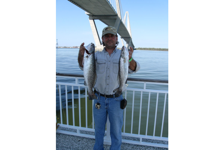 Spotted Sea Trout