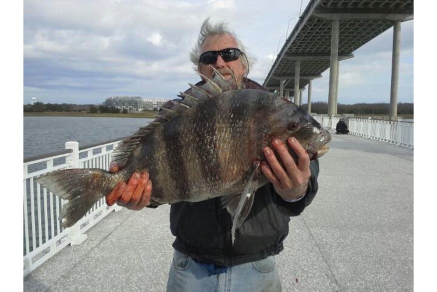 Jerry Black with a 10lb 12oz Sheepshead