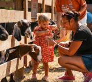 Fall on the Farm at Blooms & Berries Farm Market