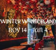 Cobblestone Over-the-Rhine Winter Wonderland