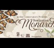 Destination Monarch Butterfly Show