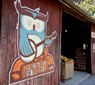 Fall Fest at Neltner's Farm