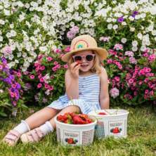 Strawberry Days at Blooms & Berries
