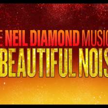 A Beautiful Noise