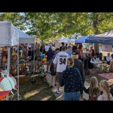 August Flea in the Fort