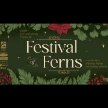 Festival of Ferns