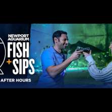 Fish and Sips at Newport Aquarium