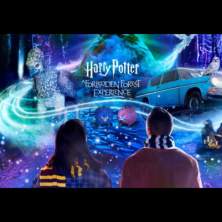 Harry Potter: A Forbidden Forest Experience