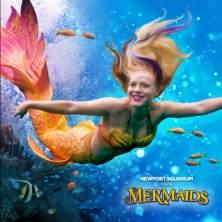 Mermaids at Newport Aquarium