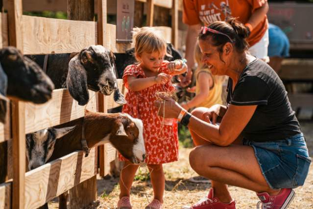 Fall on the Farm at Blooms & Berries Farm Market