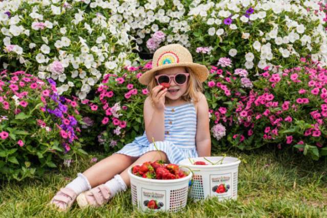Strawberry Days at Blooms & Berries
