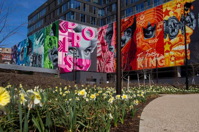 Art on Vine: Summer Residency at Elm Street Plaza