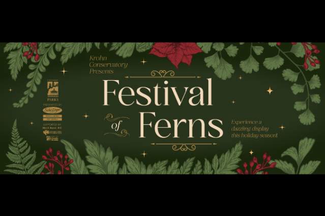 Festival of Ferns