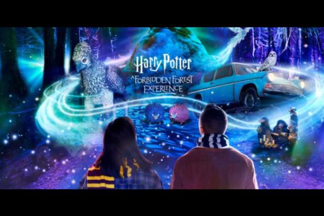 Harry Potter: A Forbidden Forest Experience