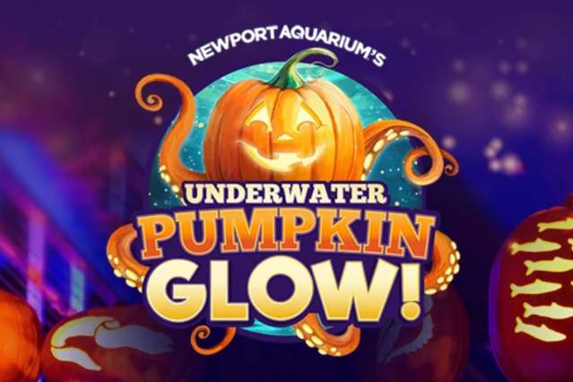 Underwater Pumpkin Glow at Newport Aquarium