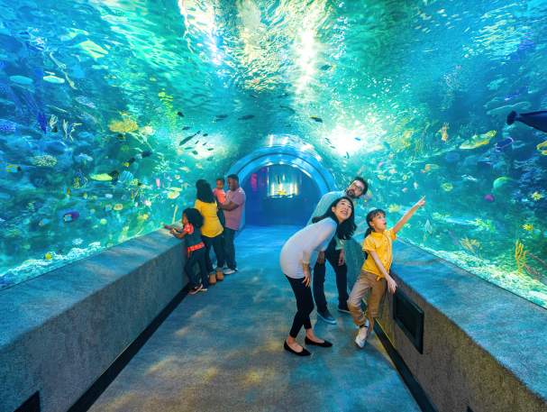 Newport Aquarium