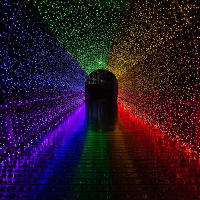 PNC Festival of Lights