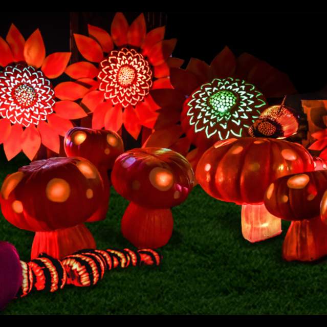 Jack O’ Lantern Glow