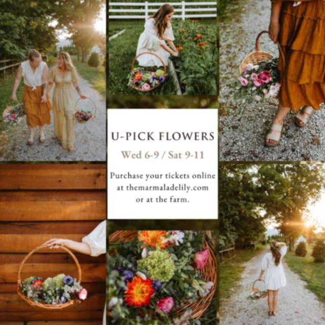 U-Pick Flowers