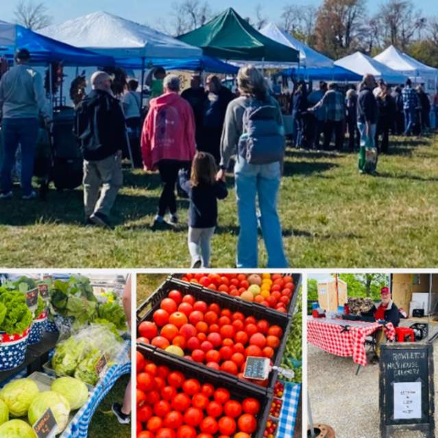 Walton-Verona Farmers and Artisan Market