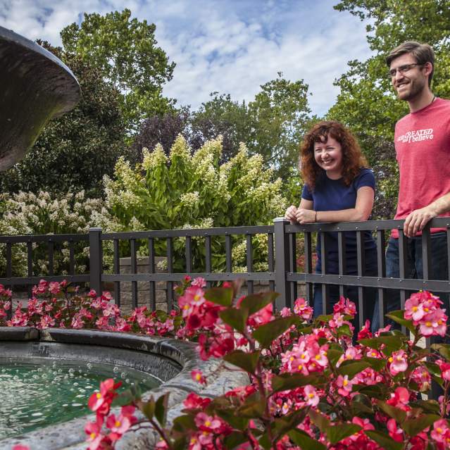Creation Museum & Answers in Genesis