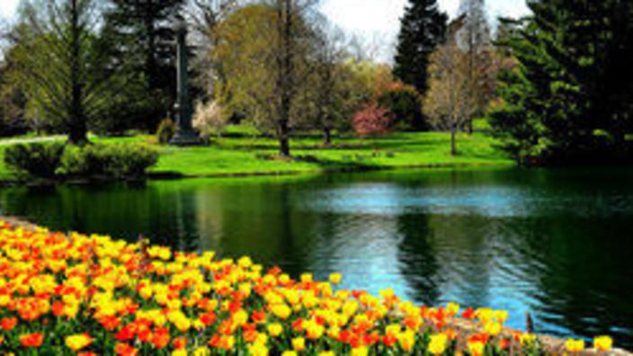 Spring Grove Cemetery & Arboretum