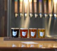 Fretboard-Beer%20Flights%4010x-100