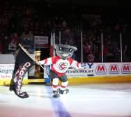 Cincinnati Cyclones