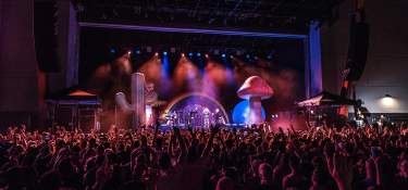 A stage bathed in purple and red light, with a giant mushroom and Kesha with a crowd of fans in the foreground.