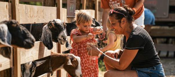 A mom and child feed goats at a petting zoo
