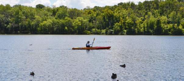 Person kayaking on the lake at Winton Woods (photo: Great Parks of Hamilton County)