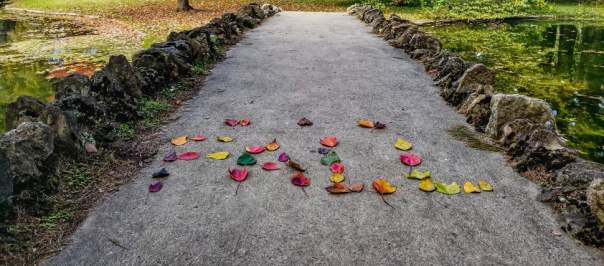 Spring Grove Cemetery and Arboretum in the fall (photo: Abby Erwin)