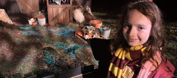 Harry Potter and the Forbidden Forest