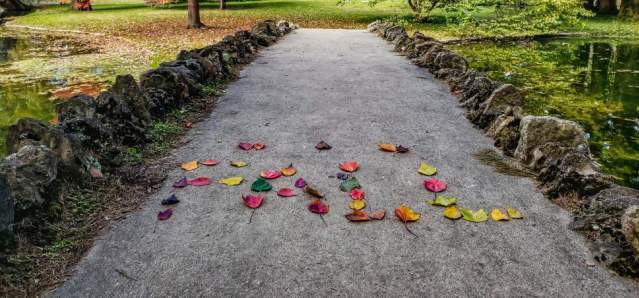 Spring Grove Cemetery and Arboretum in the fall (photo: Abby Erwin)