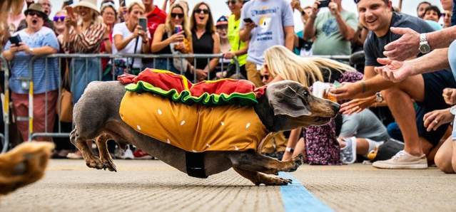 Oktoberfest Zinzinnati @shaemphoto