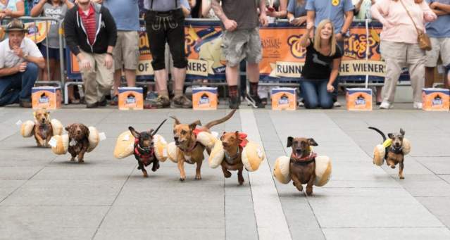 Running of the weiners at Oktoberfest Zinzinnati (photo: Brian Douglas Stills)