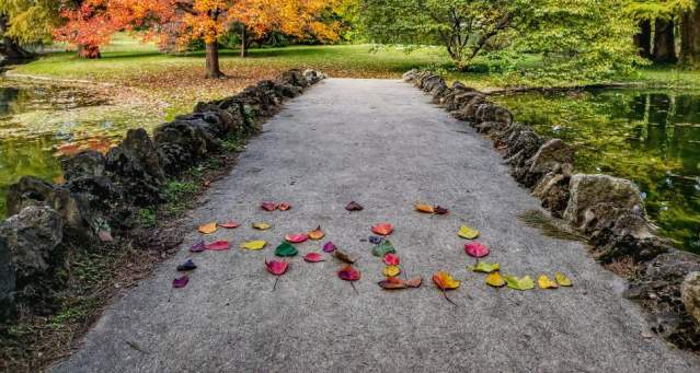 Spring Grove Cemetery and Arboretum in the fall (photo: Abby Erwin)