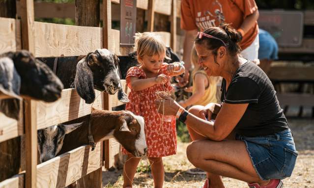 A mom and child feed goats at a petting zoo